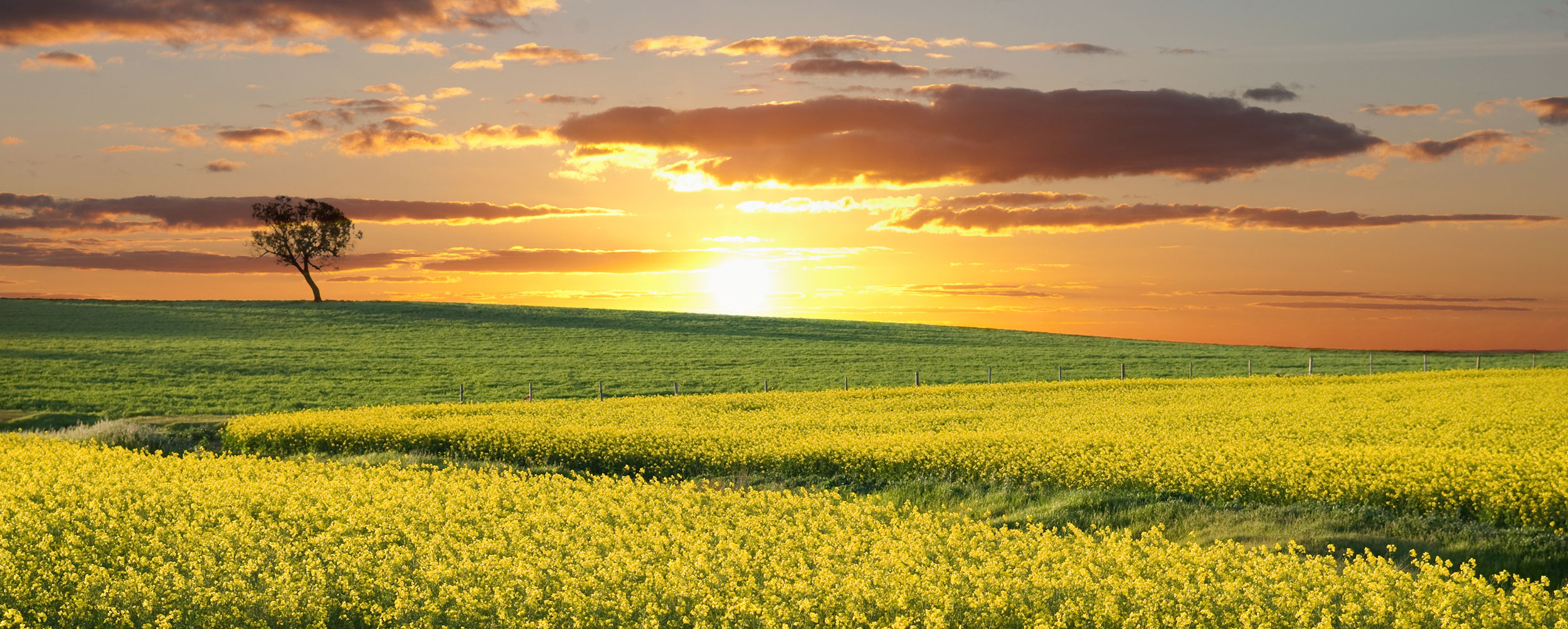 Contact Australian Organic Trading Group