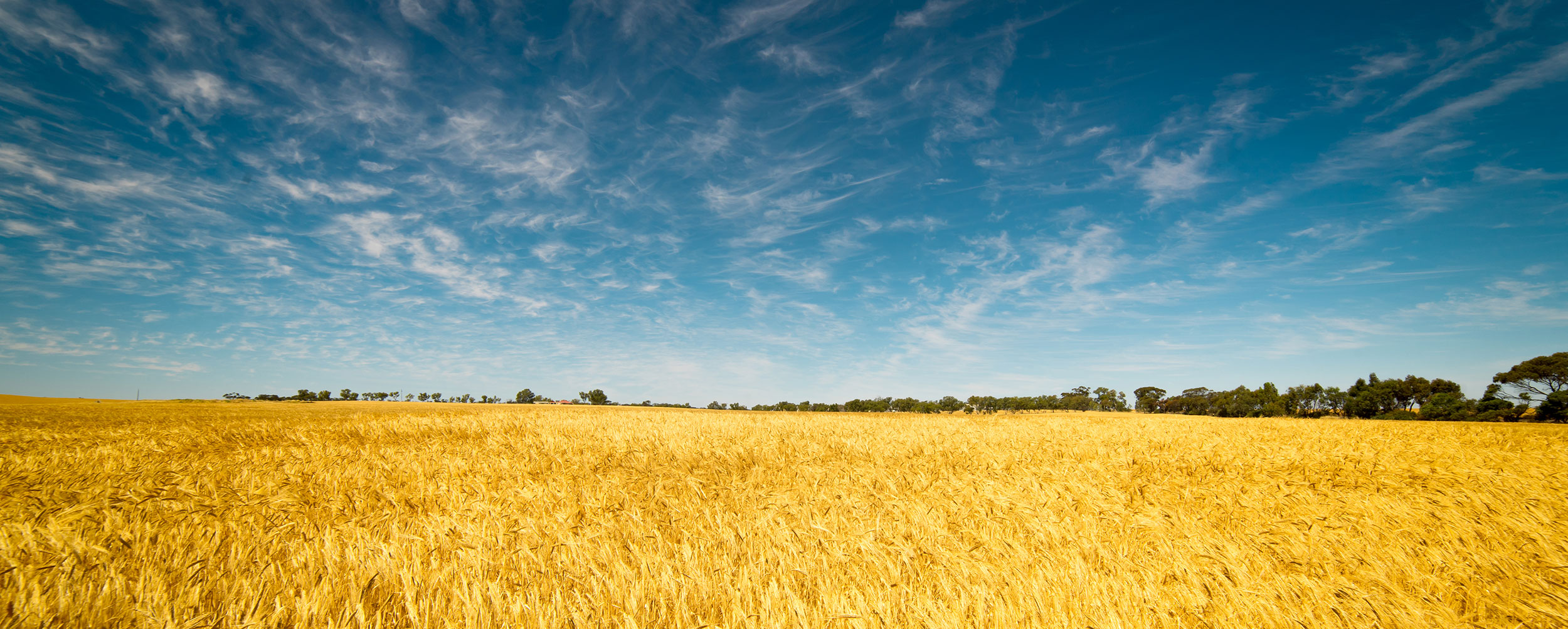 Organic products from Australian organic farmers